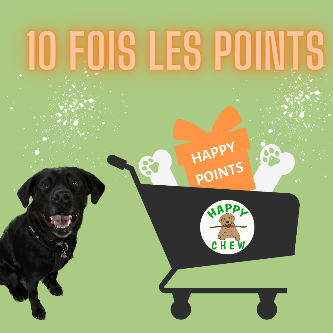 Offre spéciale: obtenez 10 fois plus de points! Special offer dog chews! Get 10 times your points!