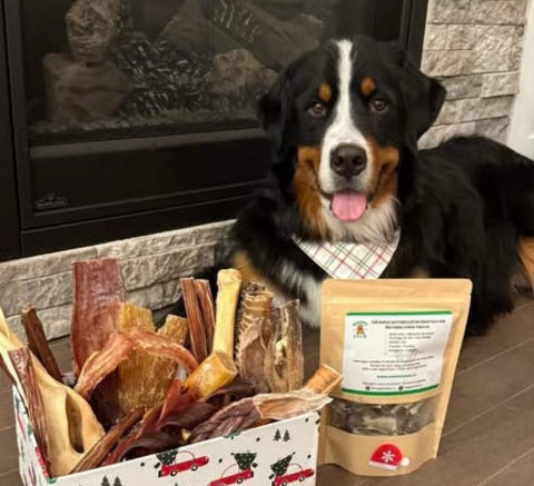 Promo de lancement! Calendrier de l'avent pour chien, 24 gâteries de mastication pour chien, Advent Calendar Dog chews, Bully sticks, collagen stick