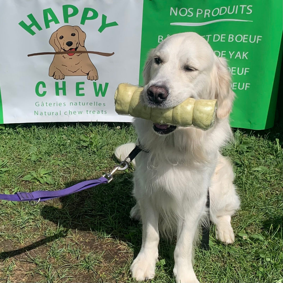 Happy Chew Beef Cheek Roll Mega Size-Natural Long Lasting Chew. Joue de boeuf pour chien grand masticateur