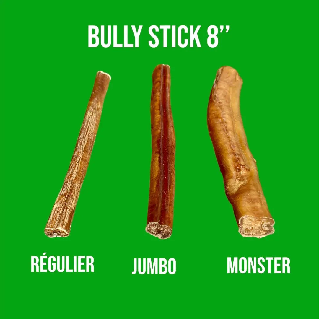Québec Happy Chew Canadian Bully Stick 8 pouces régulier-jumbo-monster / Dog chews
