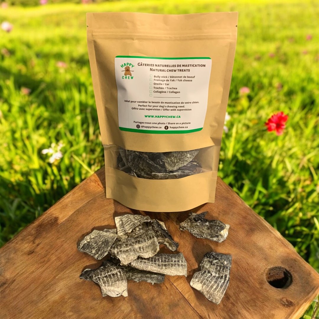 Happy Chew peau de morue déshydraté pour chien, canadian cod skin dog treat
