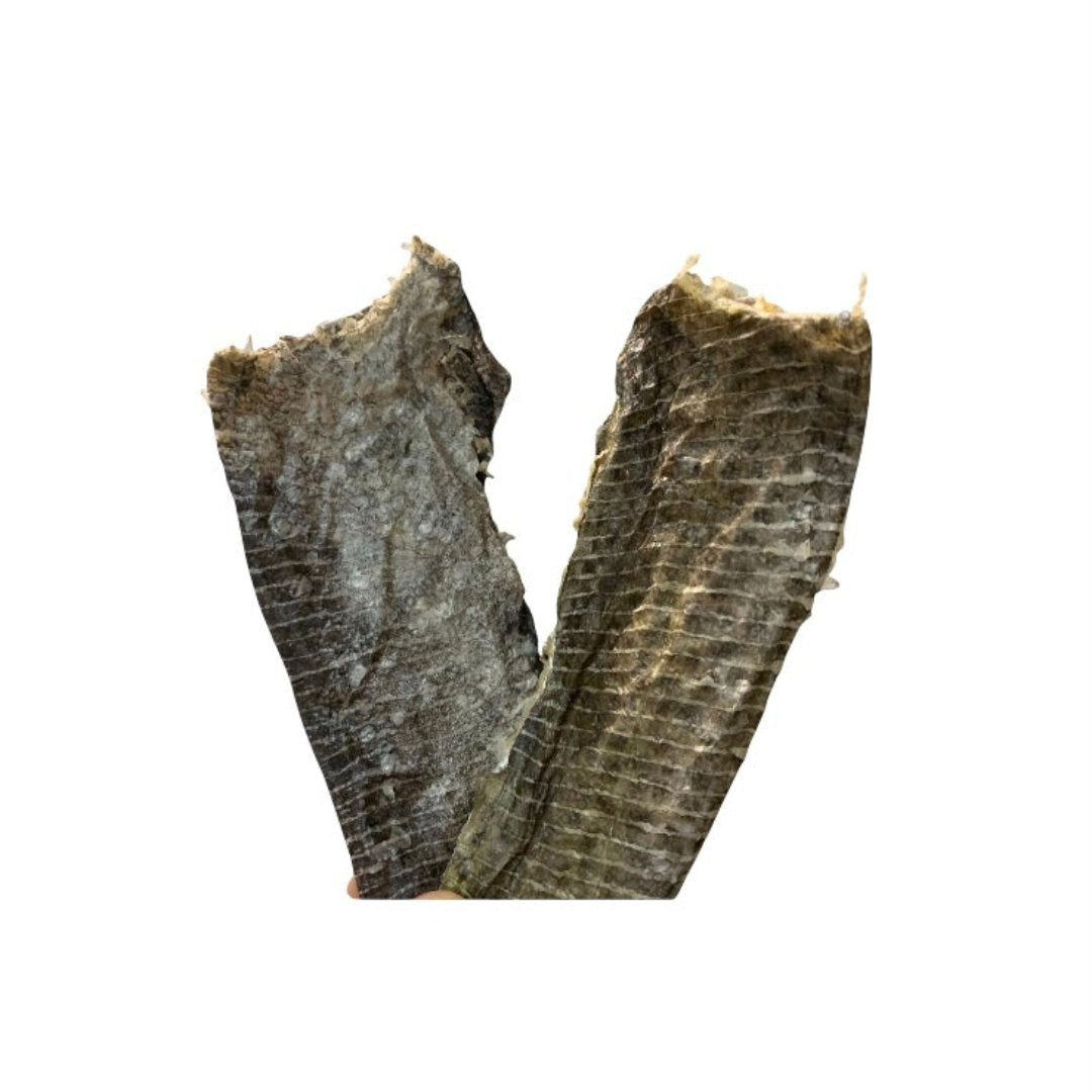 Happy Chew peau de morue déshydraté pour chien, canadian cod skin dog treat