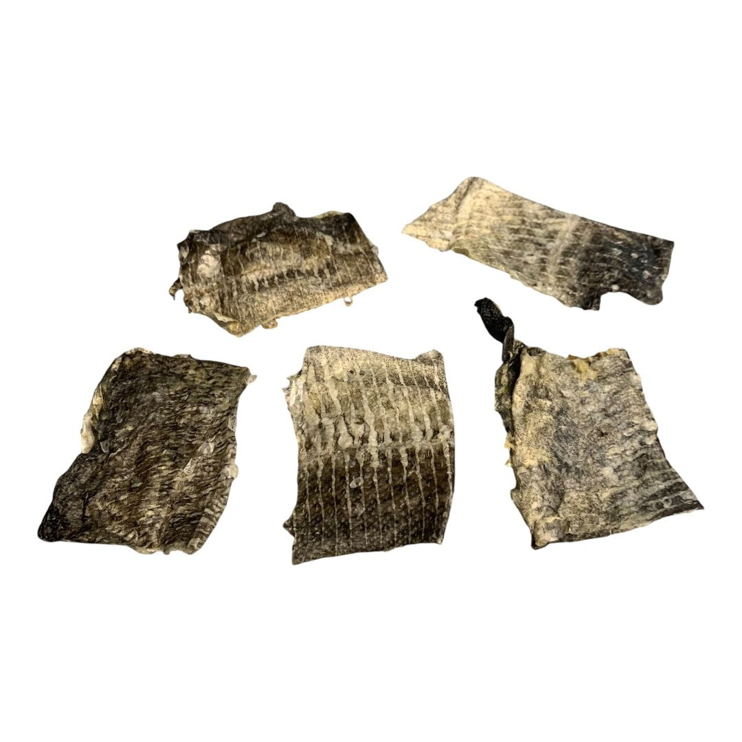 Happy Chew peau de morue déshydraté pour chien, canadian cod skin dog treat