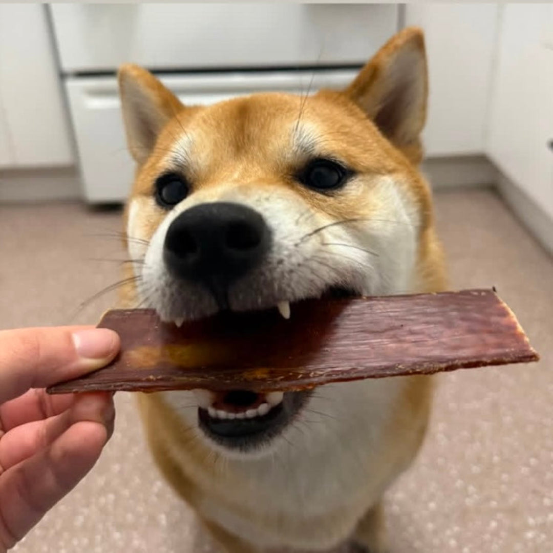 Happy Chew oesophages de boeuf pour chien, beef jerky for dog