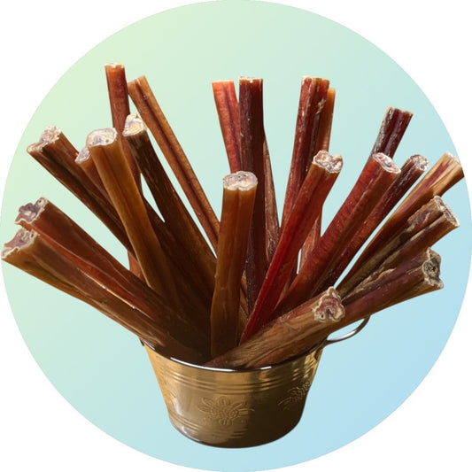 9-inch thick bully stick for medium dogs — natural low odor chew made from dehydrated beef