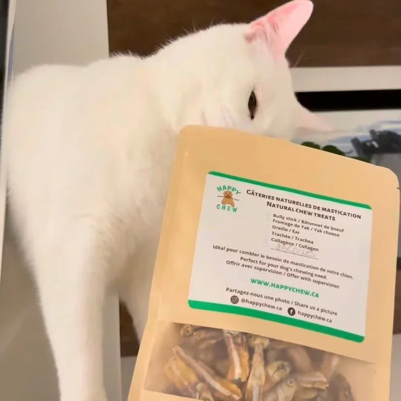 Sardines cat treats made in Canada