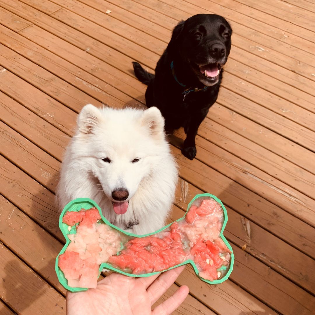 Lick mat made in Canada, tapis de léchage fait au Québec, jouet interactif