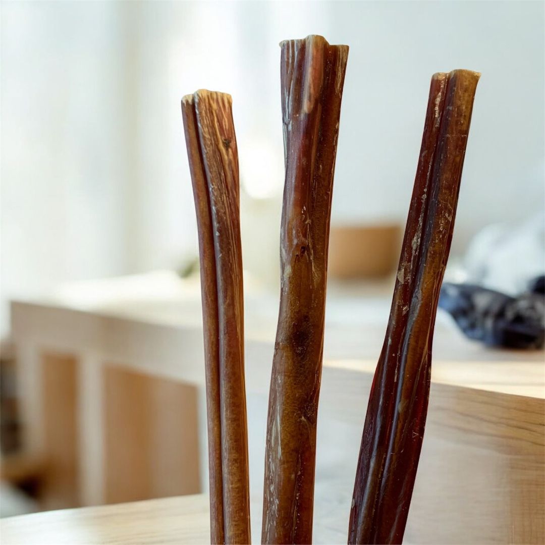 9-inch thick bully stick for medium dogs — natural, odor-free chew made from dehydrated beef