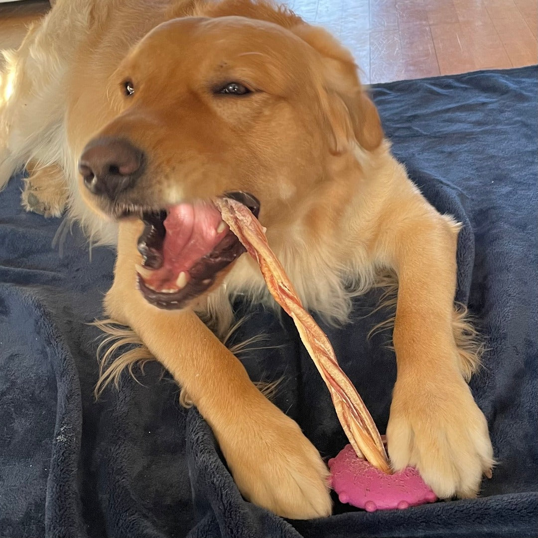 Nouveau combo bully stick économique, new saving bully sticks pack