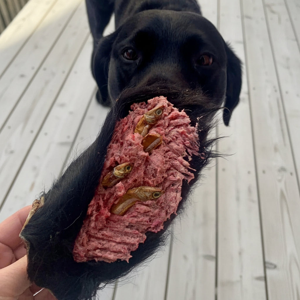 oreille de boeuf poilue mastication pour chien, stuffed beef ear dog chew