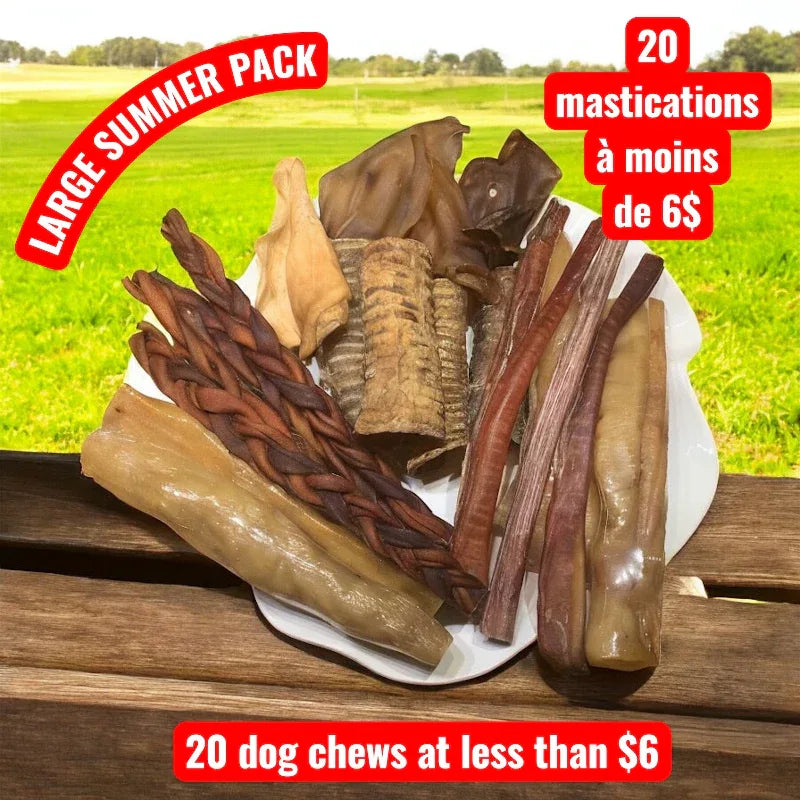 Summer dog chew pack! 20 mastications naturelles à petit prix! Bully sticks Canada, collagen and more
