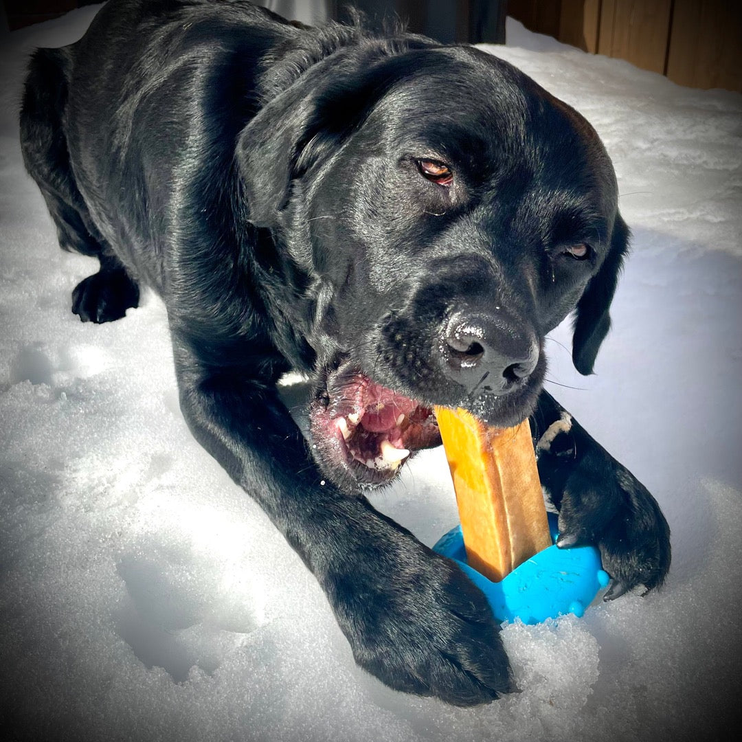 Bully stick holder pour chien au Québec, dog chew bully stick and yak cheese holder in Canada