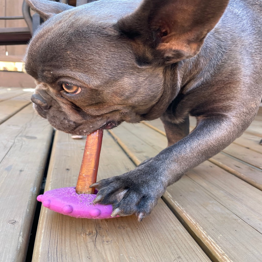 Bully stick holder pour chien au Québec, dog chew bully stick and yak cheese holder in Canada
