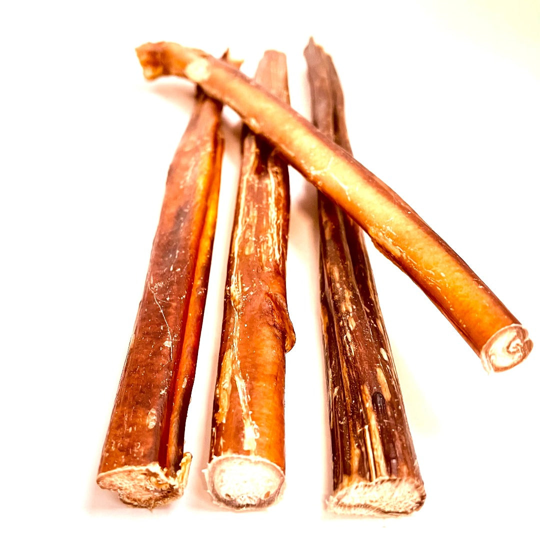 Québec Happy chew bully stick canadien 12’’ sans odeur, made in Canada odour free bully stick