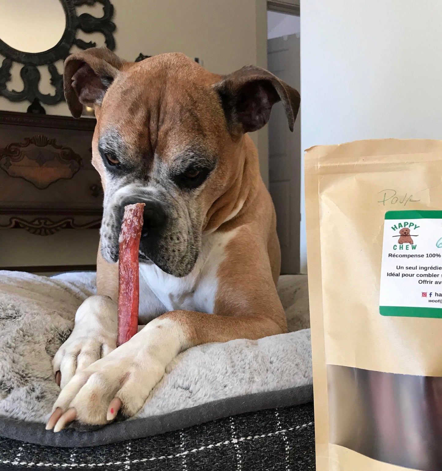 Happy Chew Bully stick 6" monster au Québec, bully stick big chewer quebec