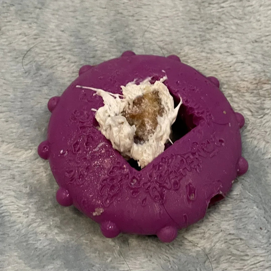 Bully Stick Holder Bonehead keeps Happy Chew Bully Stick firmly