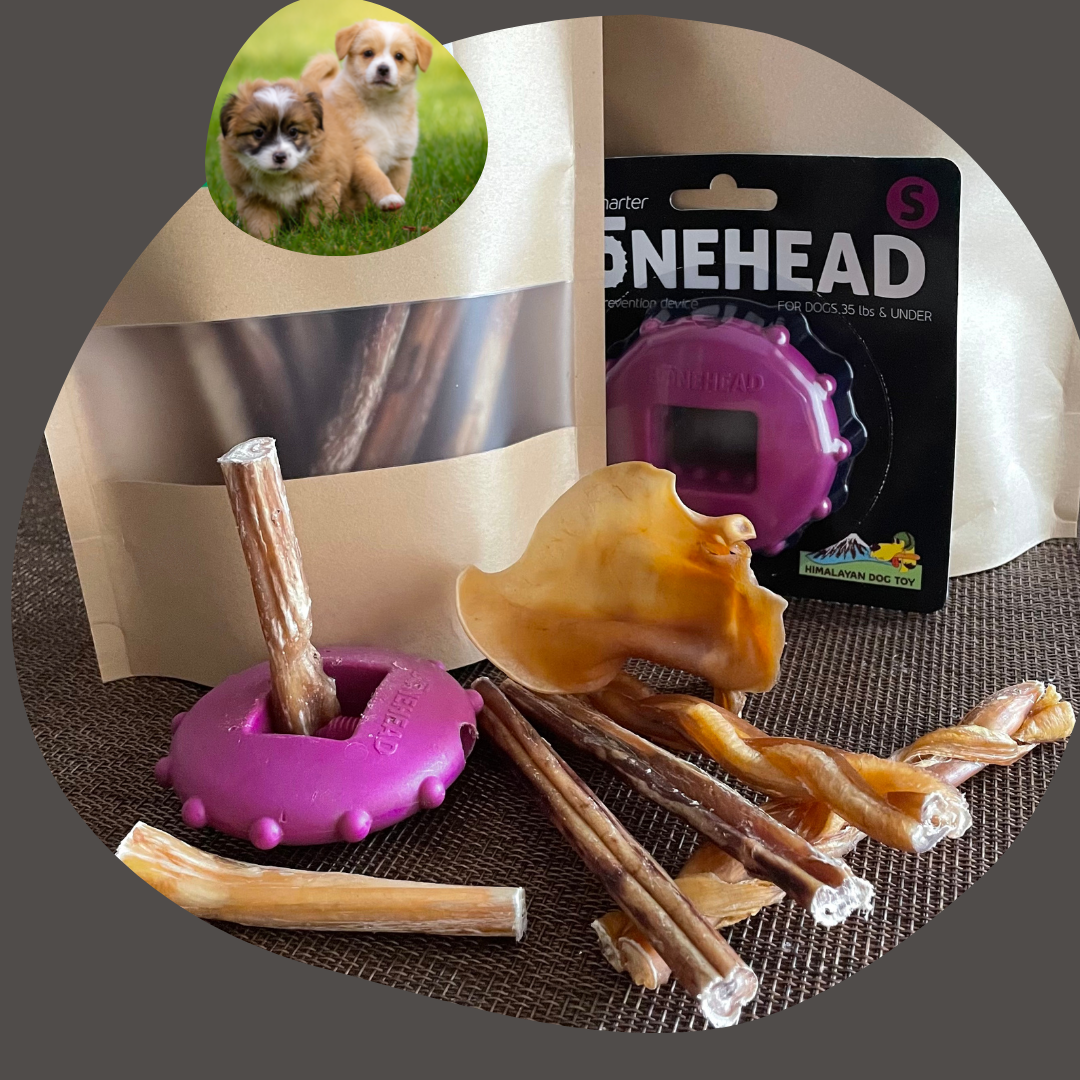 Happy Chew ensemble mastication pour chiot au Québec, bully sticks pour chiot, puppy chew pack in Quebec, puppy bully sticks