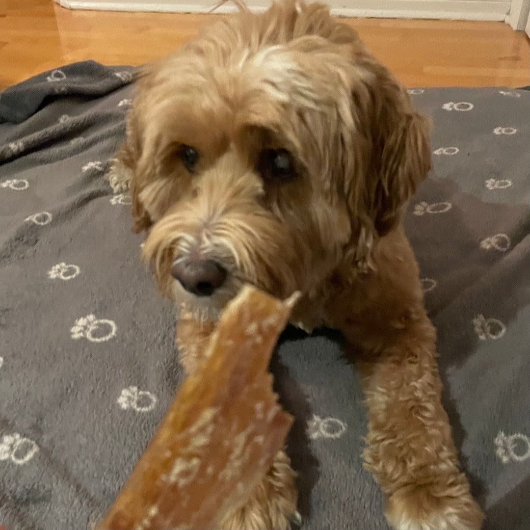 Happy Chew tendons de boeuf au Québec, beef backstrap dog chew treat in Quebec