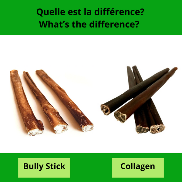 Difference bully stick and collagen stick