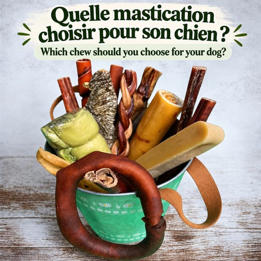 Quelle mastication choisir pour son chien - Le guide comparatif - Happy Chew