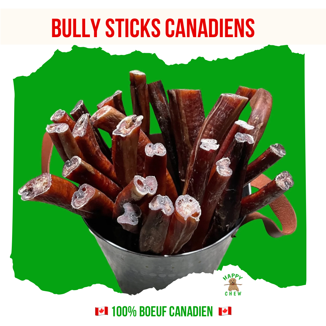 5 good reasons to buy our Bully Sticks! – Boutique Happy Chew