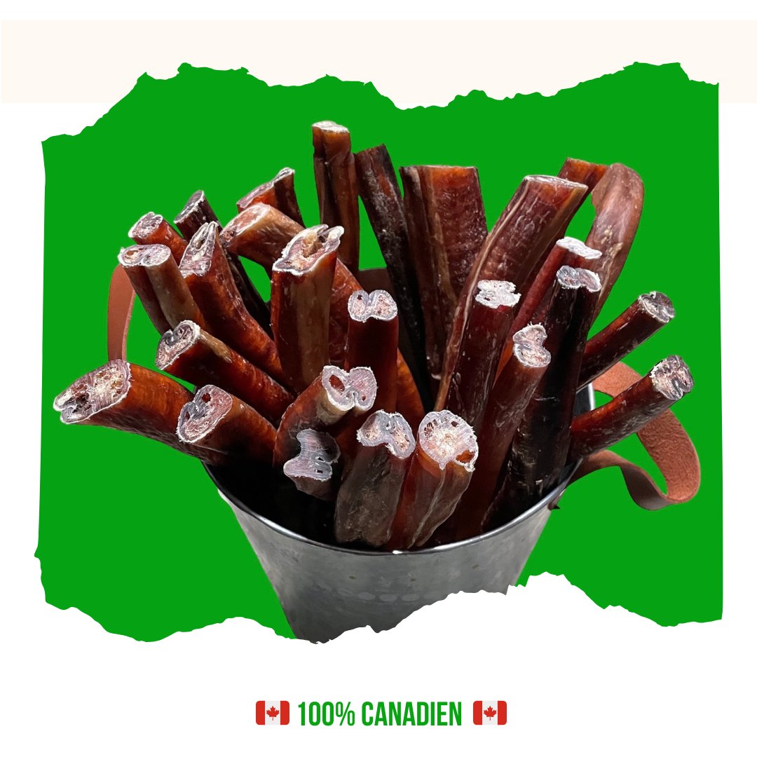 Bully stick sans odeur produit au Canada. Made in Canada bully sticks, odor free