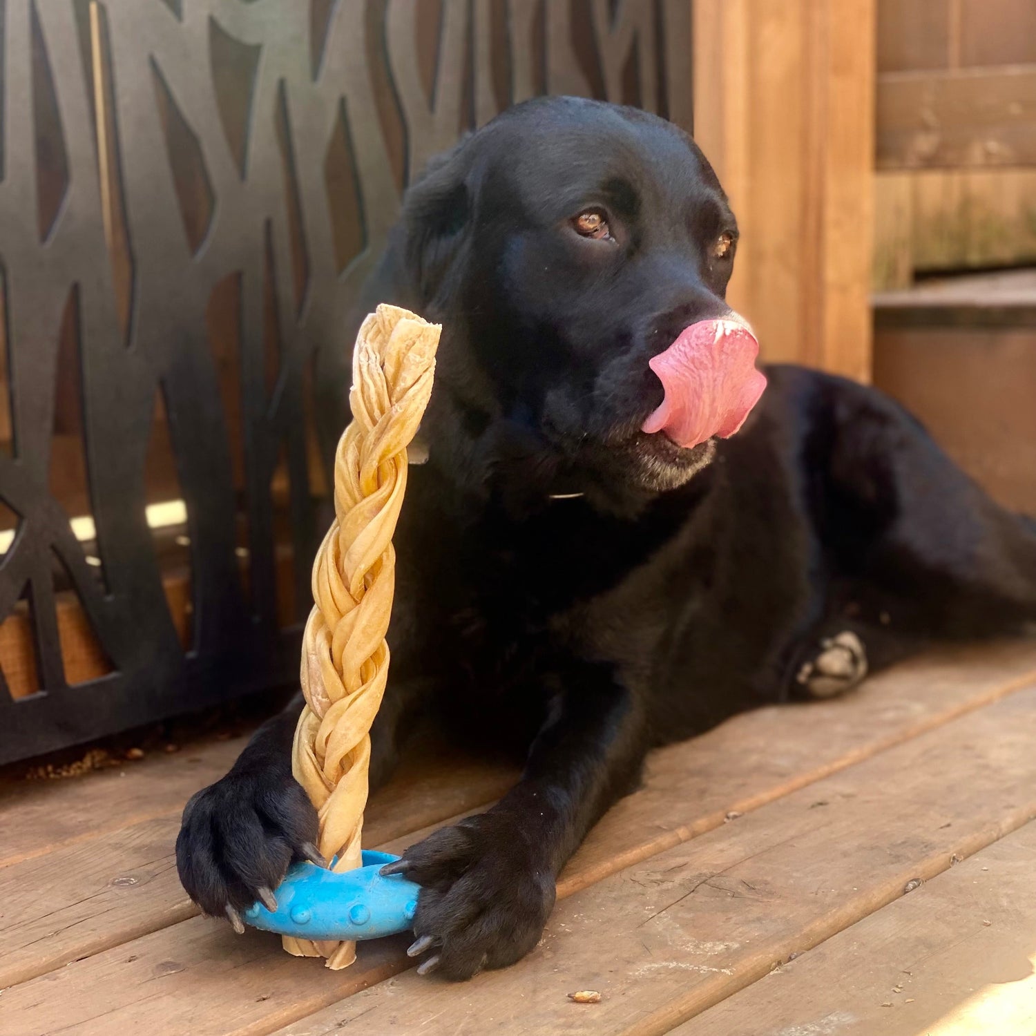 Bully stick canadien monster. Os naturel pour gros chien: fromage de yak, joue de boeuf, collagène monster. Canadian dog chew, monster bully stick, large beef cheek roll, monster collagen and yak cheese.