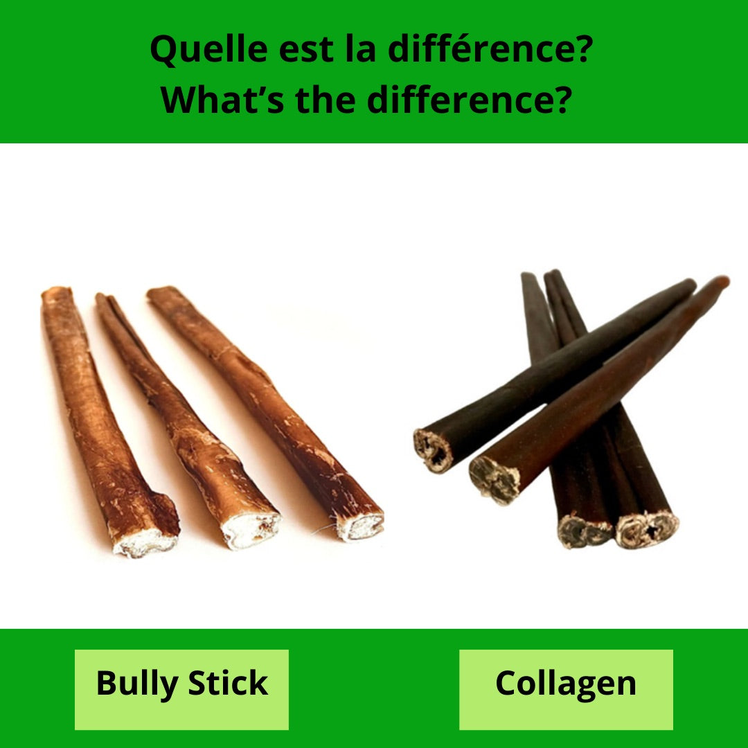 What’s the difference between bully sticks and collagen for dog? Différence entre bully stick et collagène pour chien?