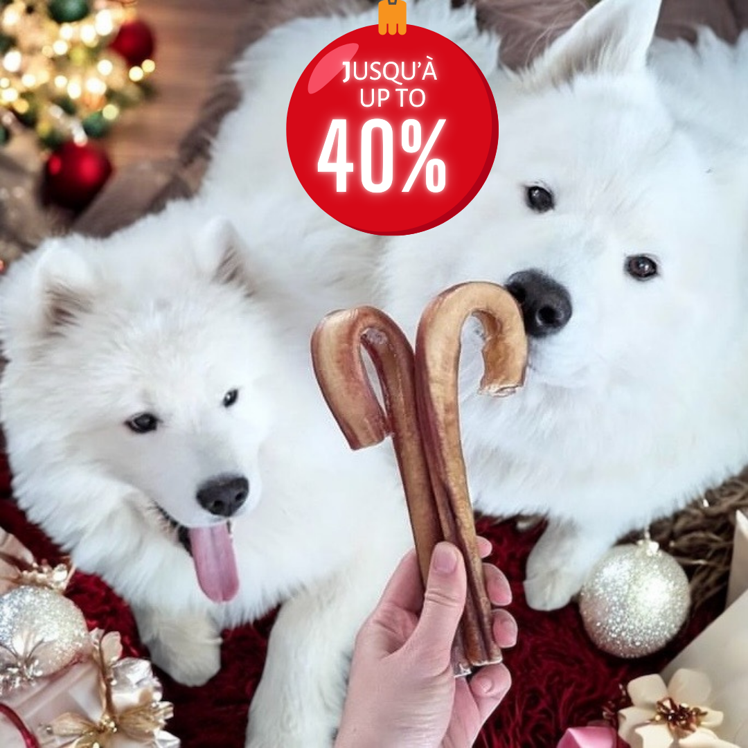 Boxing Day jusqu'à 40% de rabais sur bully sticks, fromages de yak, collagènes! Boxing Day up to 40% on dog chews!