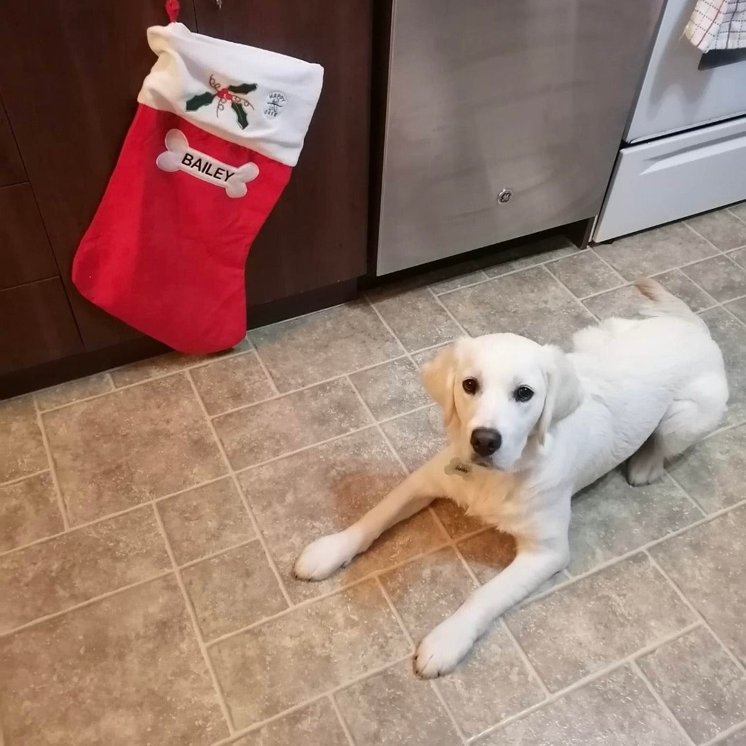 Happy Chew bas de Noel personnalisé de bully sticks pour chien au Québec, Bully sticks Christmas Stocking in Quebec.