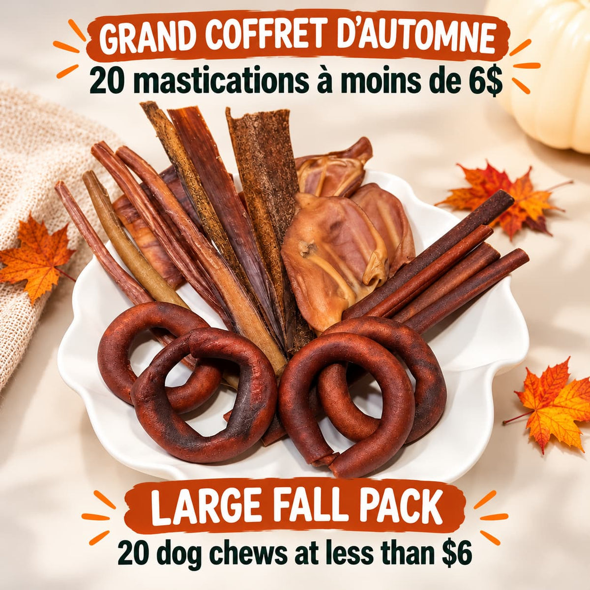 Boite mastication d'automne pour grand masticateur - Happy Chew