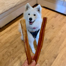 Load image into Gallery viewer, Happy Chew Canadian Monster Bully Stick 8 pouces - natural dog chews
