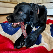 Charger l&#39;image dans la galerie, Happy Chew collagène tressé monster pour chien au Québec, dog chew braided collagen monster in Quebec
