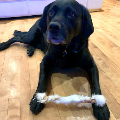 Torsade de lapin déshydratée avec poil – mastication naturelle pour  chiens, labrador | Happy Chew