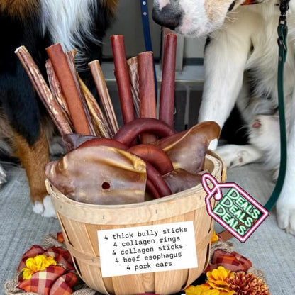 Coffret d'automne! 20 mastications naturelles à petit prix! Bully sticks Canada, collagen, pork, beef jerky. Big chewer pack