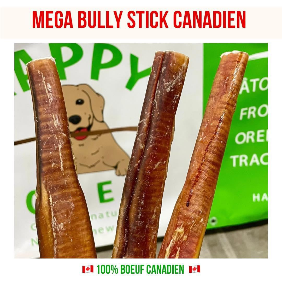 Bully stick méga monster fait au Canada, biggest bully stick made in Canada, dog chews for power chewer