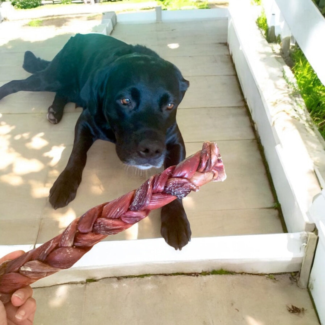 tresse d'oesophage de boeuf, braided beef jerky, puppy chew