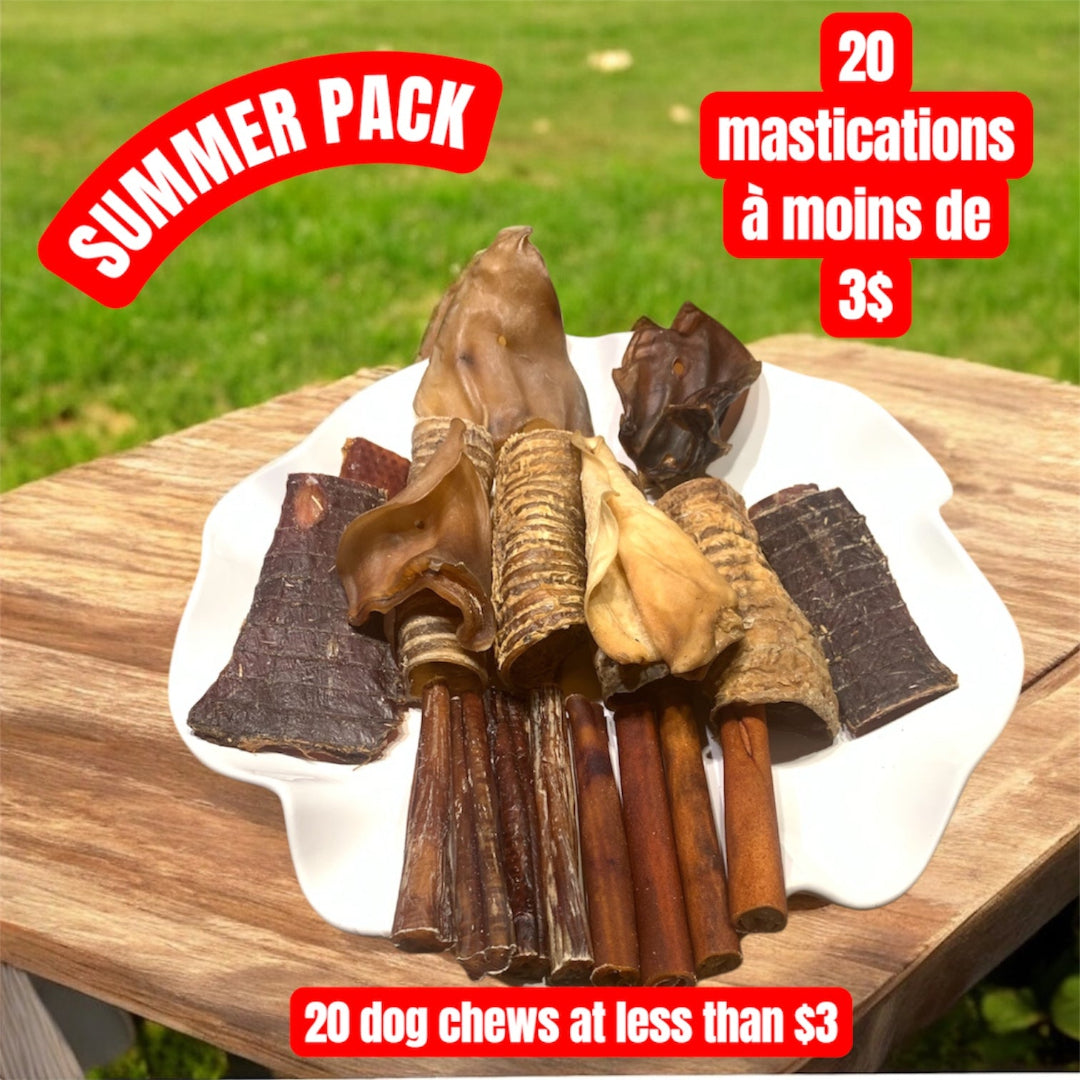 Summer dog chew pack! 20 mastications naturelles à petit prix! Bully sticks Canada, collagen and more