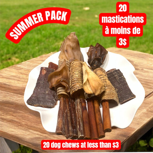Summer dog chew pack! 20 mastications naturelles à petit prix! Bully sticks Canada, collagen and more