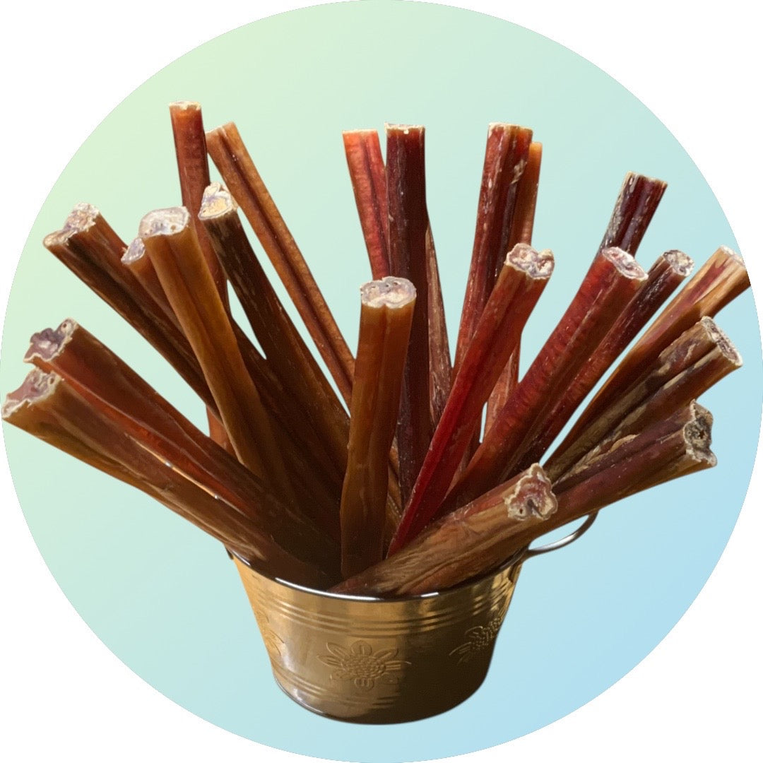 9-inch thick bully stick for medium dogs — natural low odor chew made from dehydrated beef