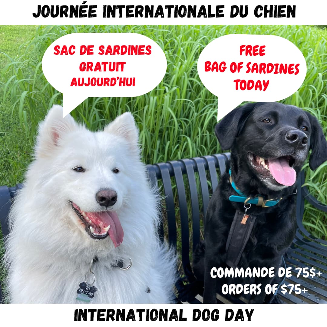 Cadeau gratuit avec achat - Journée internationale du chien! Marque québécoise de mastication naturelle de qualité pour chien - Bully sticks canadiens, lapin, porc, yak, collagène. 