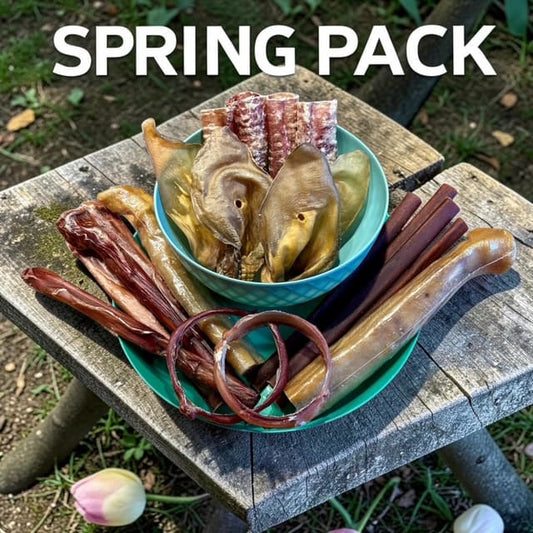 Coffret mastications naturelles printemps pour grands chiens – Happy Chew