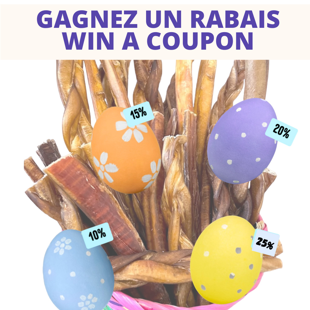 Gagner un des 30 rabais bully sticks. Chasse aux rabais! Easter Dog chews savings