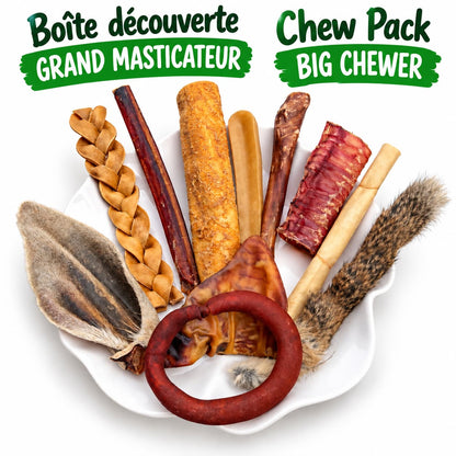 Boite de mastication découverte pour gros chien - Happy Chew