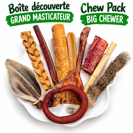 Boite de mastication découverte pour gros chien - Happy Chew