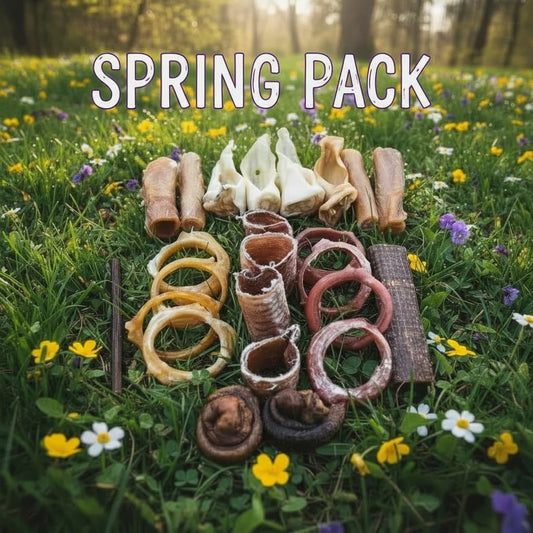 Spring chew box for small dogs – 24 natural treats, chicken-free | Happy Chew