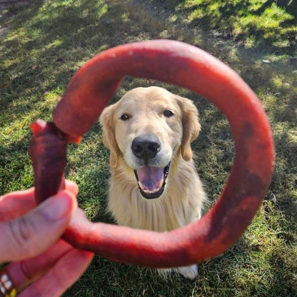 Coffret d'automne! 20 mastications naturelles à petit prix! Bully sticks Canada, collagen, pork, beef jerky. Big chewer pack