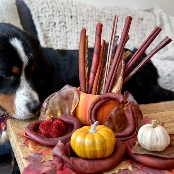 Coffret d'automne! 20 mastications naturelles à petit prix! Bully sticks Canada, collagen, pork, beef jerky. Big chewer pack