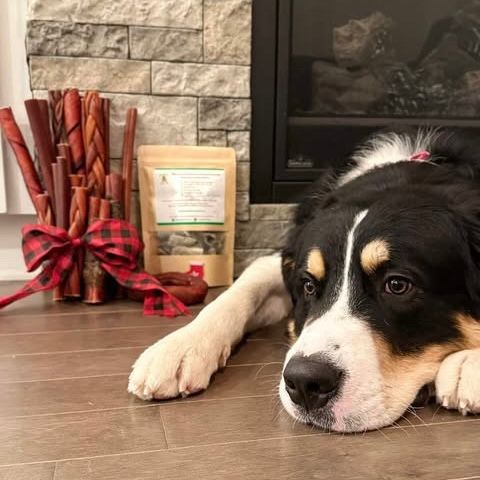 Black Friday! Jusqu'à 35% sur la mastication naturelle pour chien, marque fièrement québécoise. Bully sticks canadiens, gâteries saines pour chiots et chiens adultes. Natural dog chews made in Canada