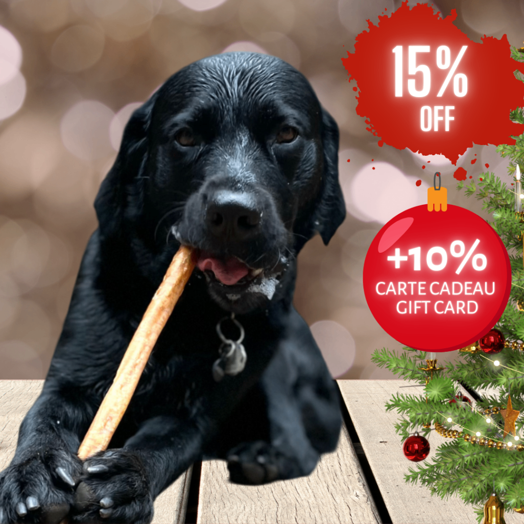 Promotion de Noël sur la mastication naturelle pour chien. Marque fièrement québécoise. Bully sticks canadiens, gâteries saines pour chiots et chiens adultes. Dog Christmas Gift at 20% 0ff! Natural dog chews made in Canada